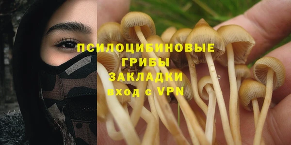 PSILOCYBIN Бородино